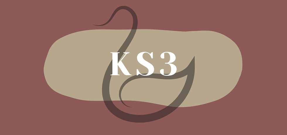 KS3.png