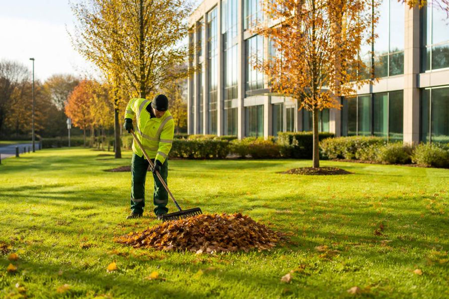 A grounds maintenance professional in high-visibility workwear gathering fallen leaves into a neat pile on a manicured lawn beside a modern office building, trees showing autumn colours in soft morning light