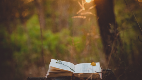 How to Write Healing Poetry: A Beginner's Guide to Writing Through Pain