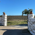 IMG_7124.jpeg