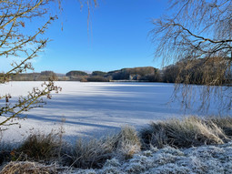 IMG_0581.JPEG