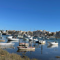 IMG_7121.jpeg