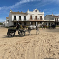 IMG_7150.JPEG