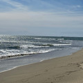 IMG_7119.jpeg