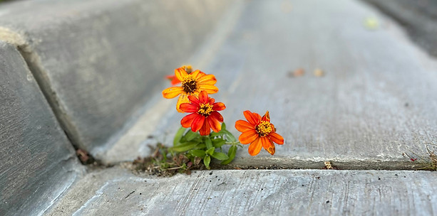 Employees learning resilience techniques in group training
