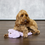 Thumbnail: Aromadog™ Calm, Fleece  Dog