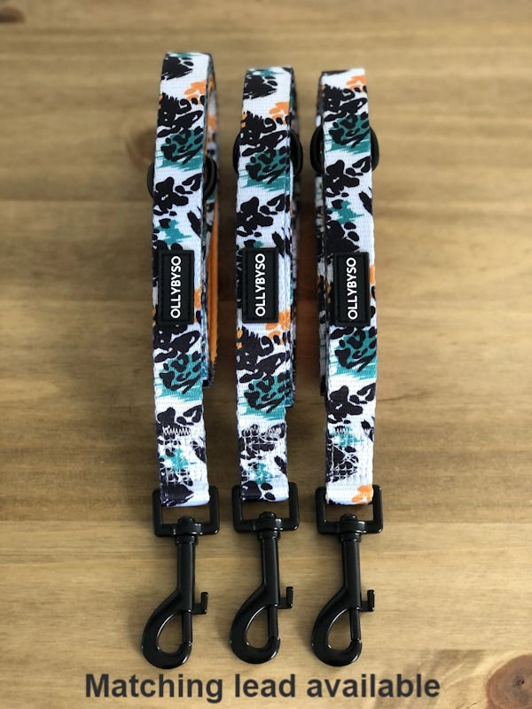 Thumbnail: Ollybyso Jaguar Dog Collar