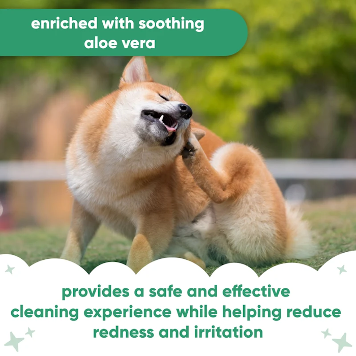 Thumbnail: Buddy Care Ear Cleanser 200ml