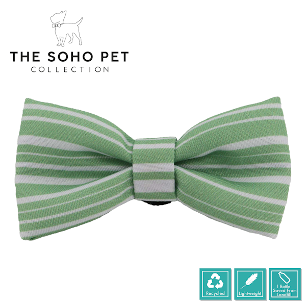 Thumbnail: Bow Tie Twin Pack Green Stripe / Leaf Pattern