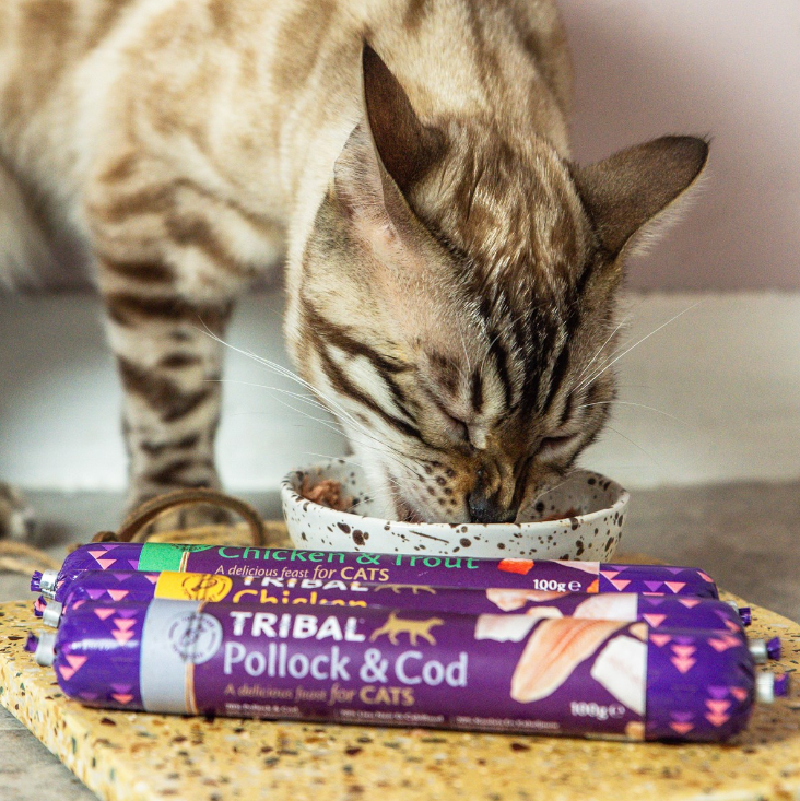 Thumbnail: Tribal Gourmet Cat Fresh Chicken & Trout Sausage 100g