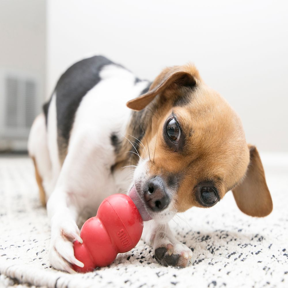 Thumbnail: Classic Kong Dog Toy.