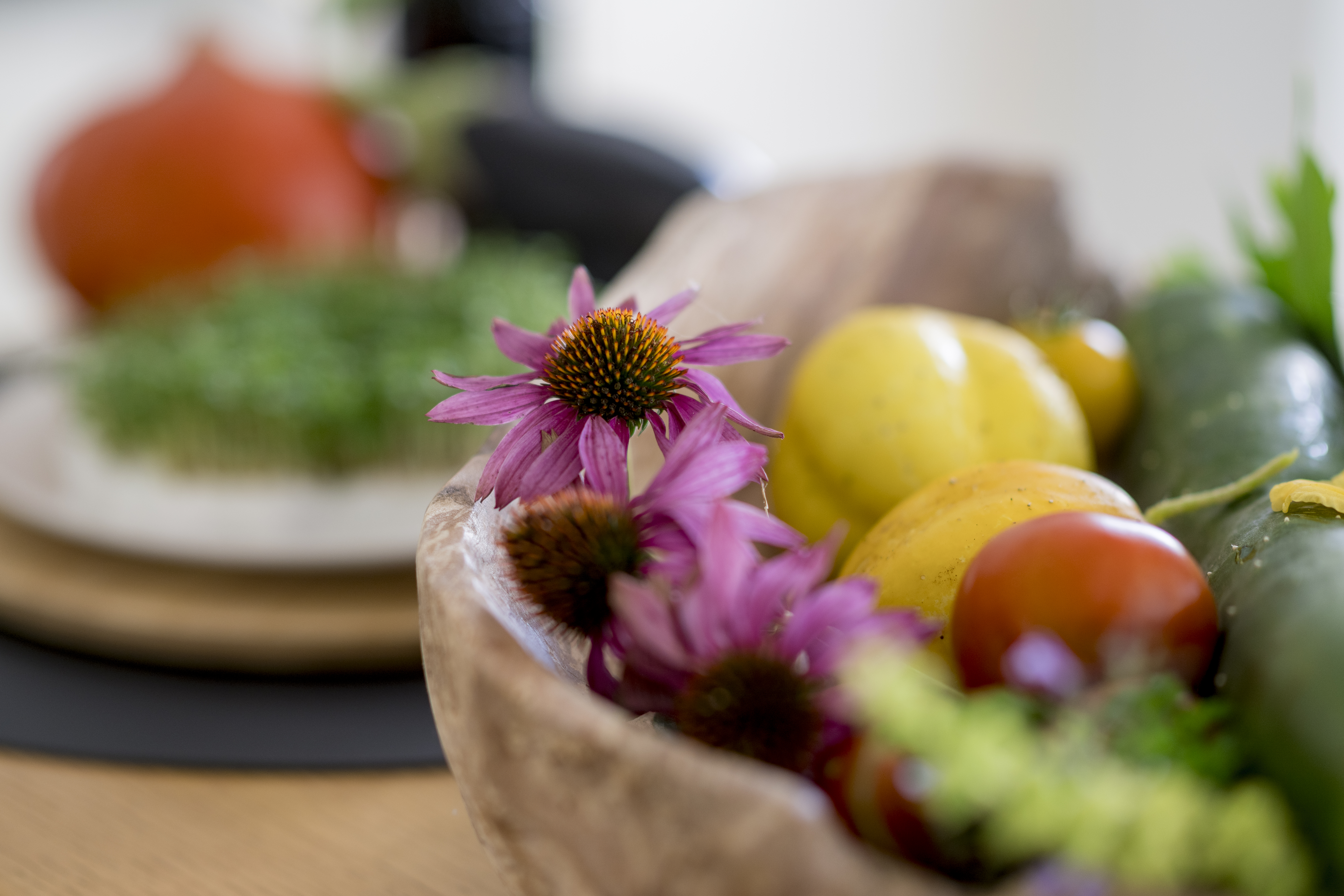 2025-09-08 Hackl Silvia_033.jpg