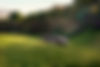 H350-0682_edited.jpg