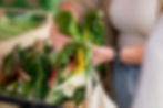 Silvias-Genusskompass-Ernährungstraining-Silvia-Hackl-Kochworkshops-Ernährungsumstellung-Gemeinsam-Einkaufen