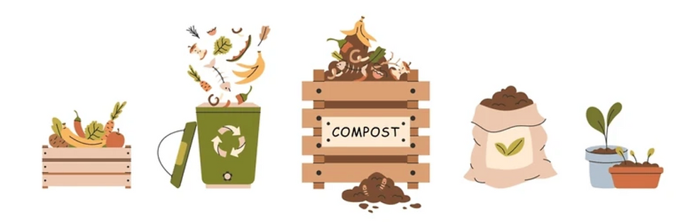 Le compost attire-t-il vraiment les rats ? La réponse n'est pas celle que vous croyez.