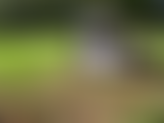 Scarification de la pelouse : L’astuce incontournable pour un gazon en pleine santé