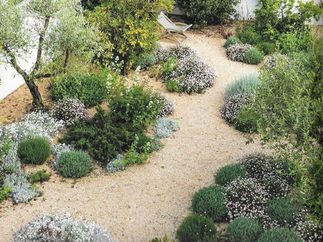 Une autre approche du jardin : le jardin sans eau (ou presque)