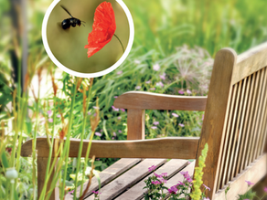 LE JARDIN ÉCOLOGIQUE sans produit chimique de synthèse