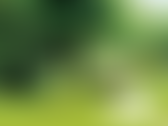 Les haies : paysage et biodiversité