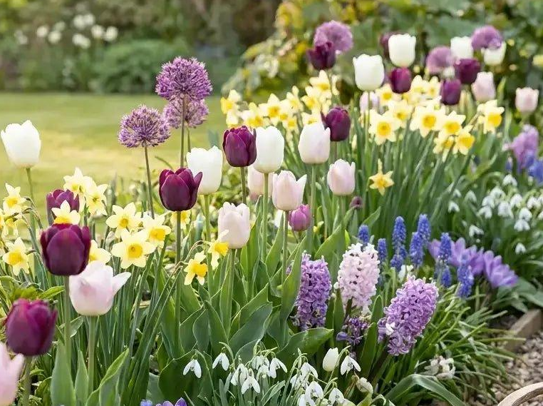 Vous voulez un jardin spectaculaire au printemps ? Tout se joue maintenant !