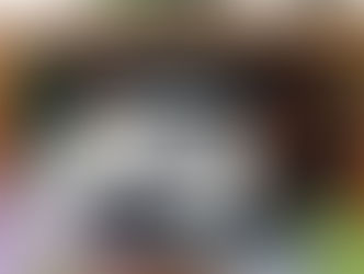 Carport Metz – Thionville : l’abri qui protège votre voiture, votre caravane ou votre camping-car et valorise votre maison 🚗🌿