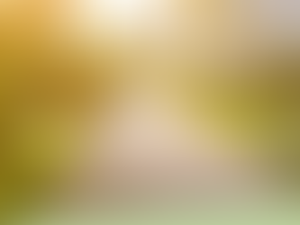 PROMOTEURS ET SYNDICS DE COPROPRIÉTÉ