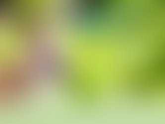 LA CRÉATION D’AMÉNAGEMENTS PAYSAGERS AMÉLIORE VOTRE CADRE DE VIE ET PRÉSERVE LA BIODIVERSITÉ