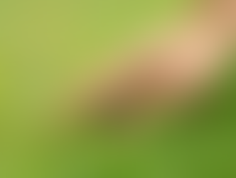 Bien plus qu'une couleur : pourquoi un "beau" gazon est votre meilleur allié (et pas pour épater les voisins)