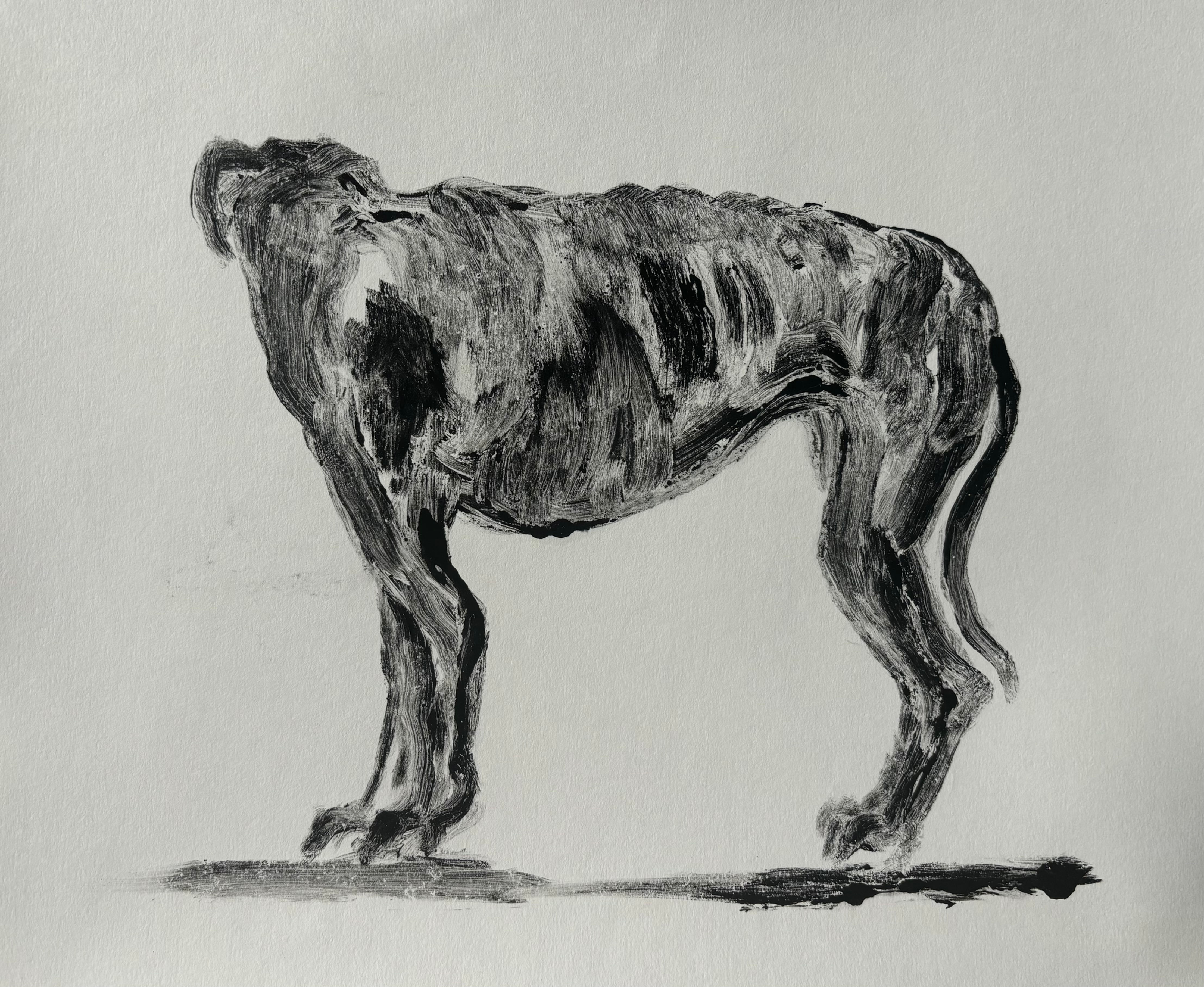 Fight, Flight, Freeze