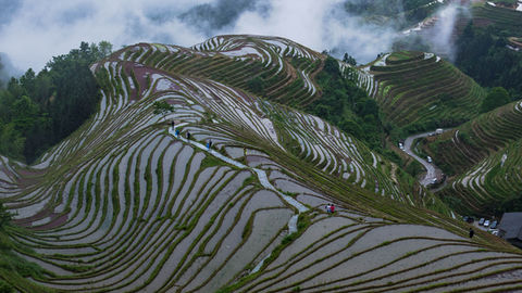 longji-rice-terraces-18.jpg