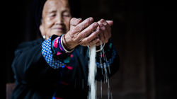 longji-rice-terraces-17