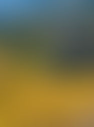 Best Time For China Photography Tours