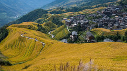 longji-rice-terraces-15