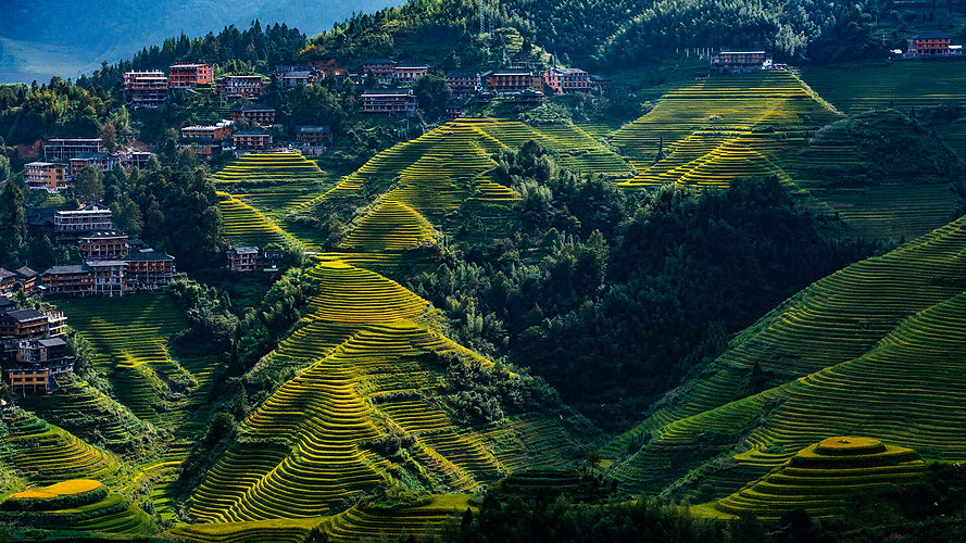 longji-rice-terraces-9.jpg