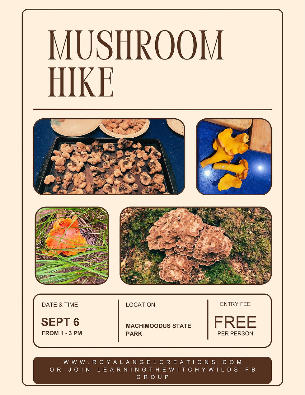 Naturalist to Offer Programs with Middle Haddam Public Library 