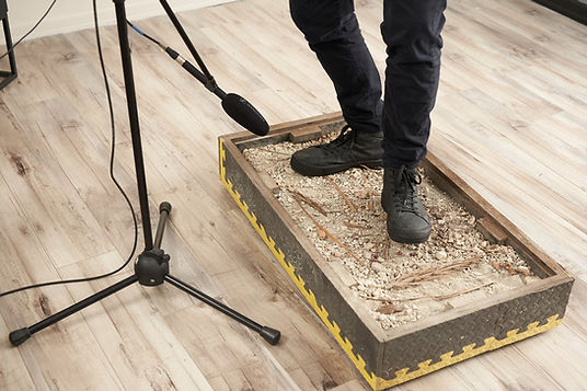 Foley Recording and Editing