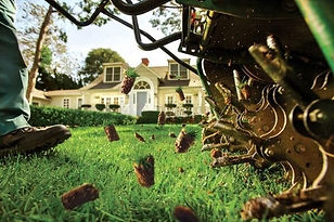 Lawn-Aerating.jpg