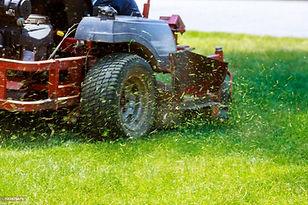 Lawn Mowing.jpg