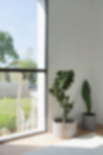 Marina Venice California Modern Los Angeles Interior Designer Ebru Kuyak Plants