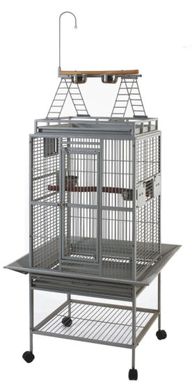 View of 24-parrot-cage-ladder-top