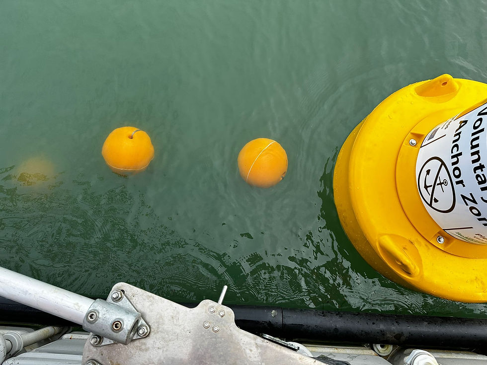 Stirling Type Mooring - Credit: ABCS