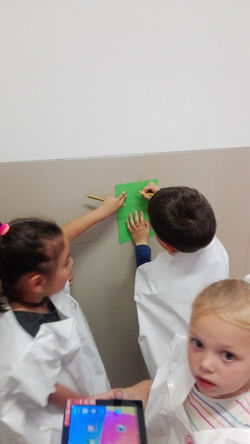 IMG_20170510_153103[2]