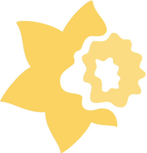 Yellow transparent background.png