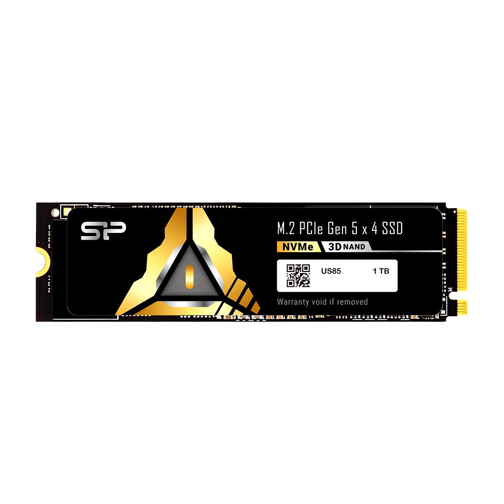 Thumbnail: Silicon Power US85 2tb 10300MB