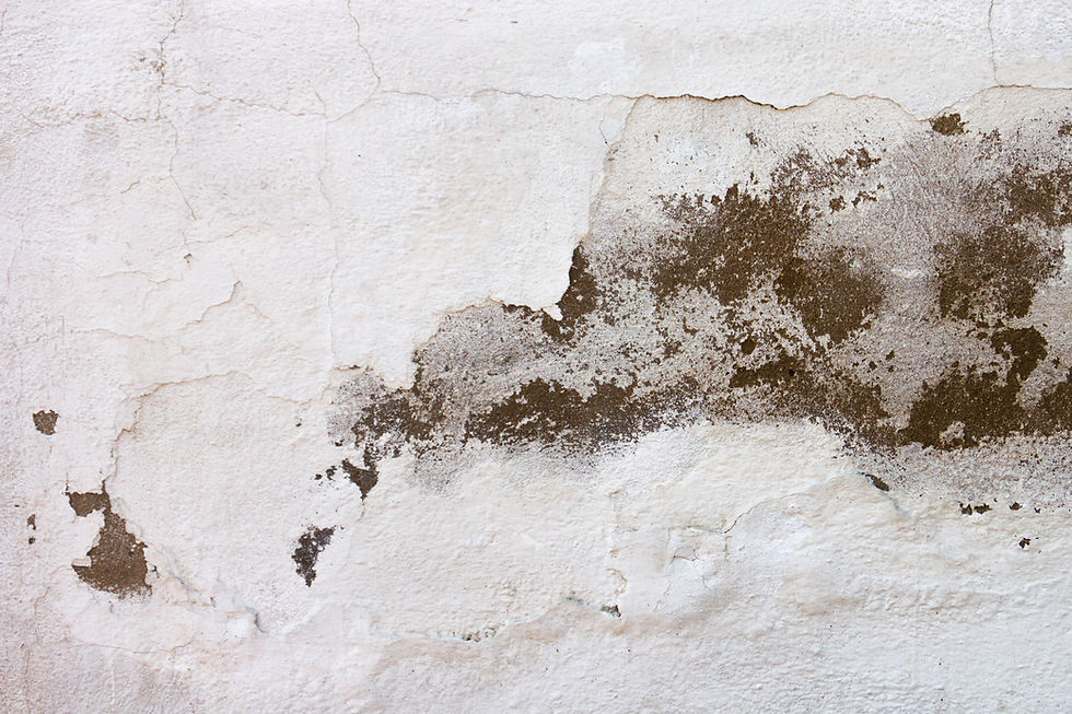 Damp proofing