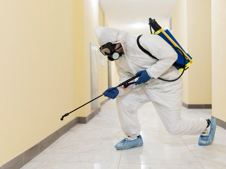 Top Signs You Need Immediate Domestic Pest Control Services