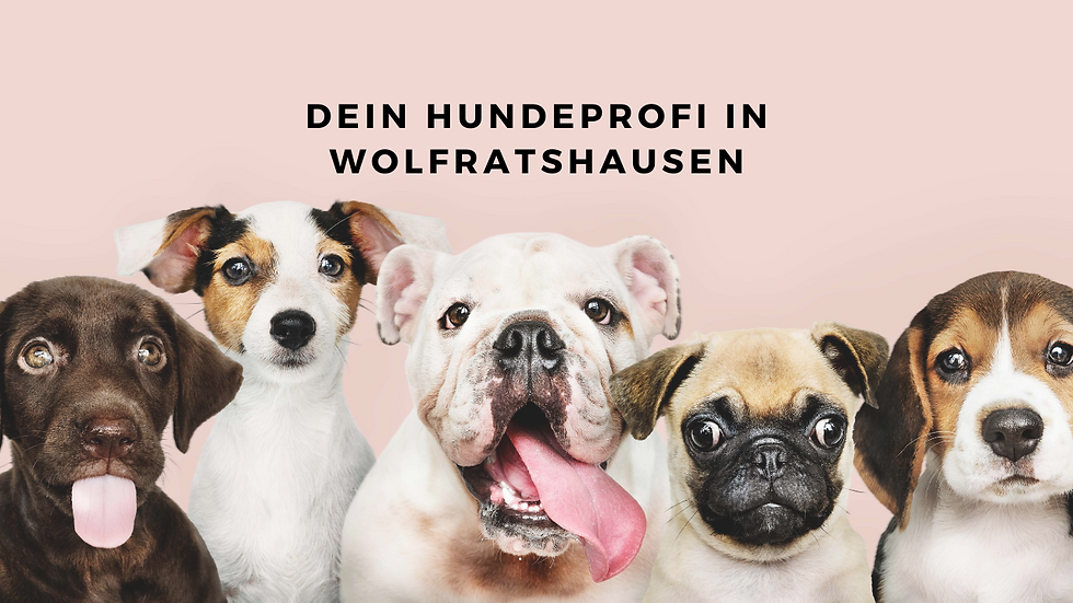 Homepage Titel-1.png