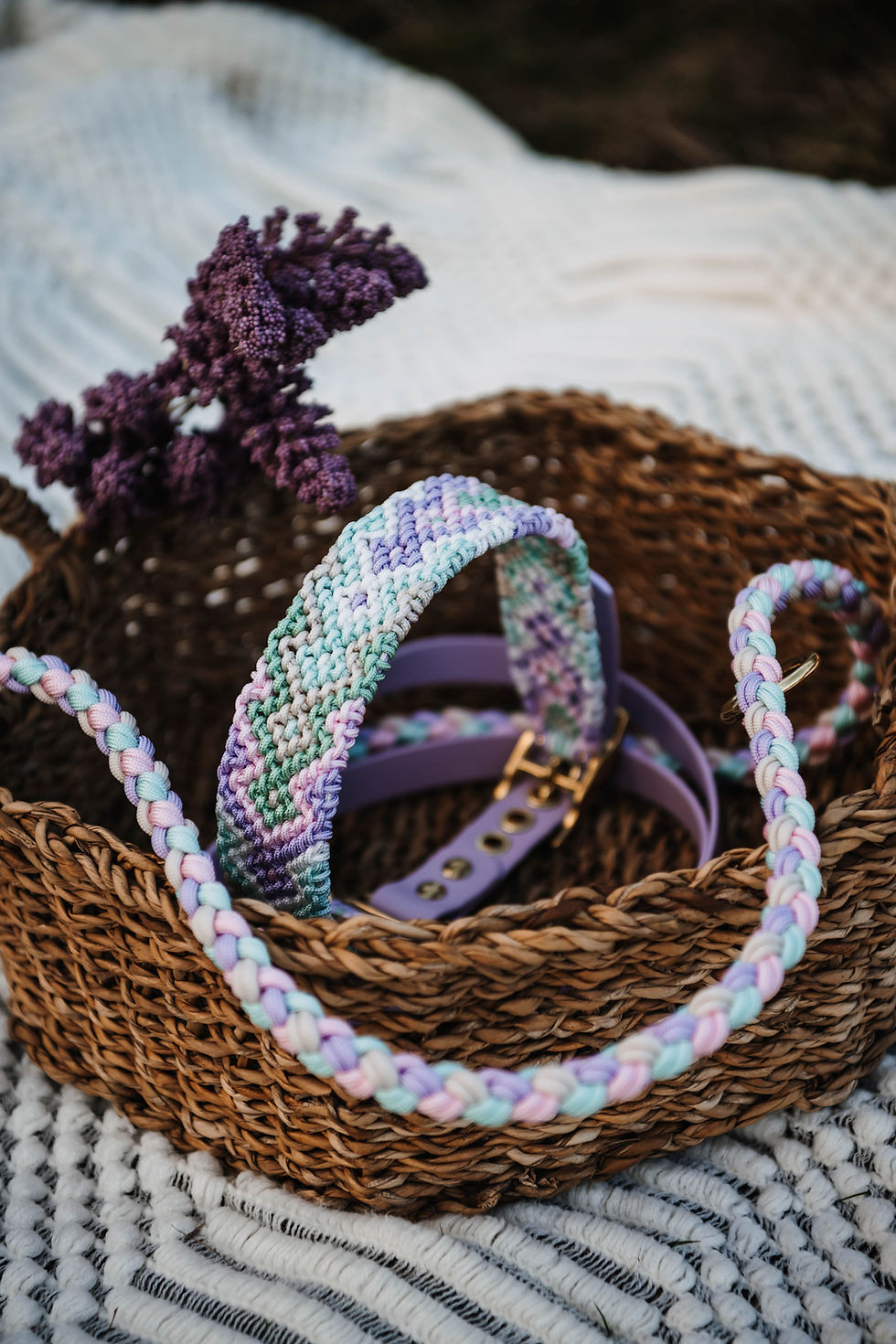 Miniaturbild: Halsbandmodell Dallas