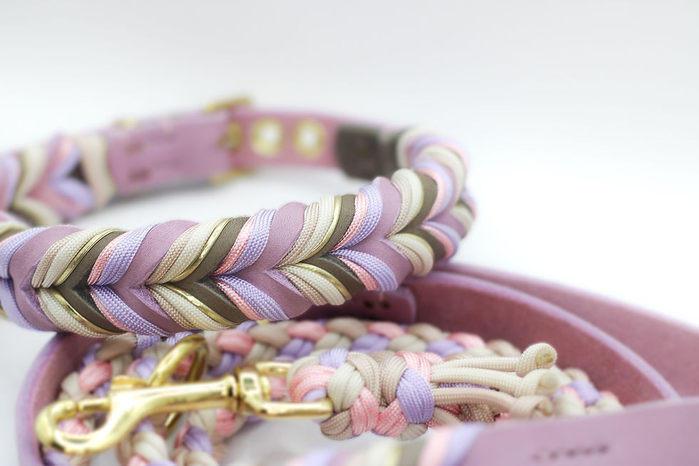 Miniaturbild: LAVENDER DUNES