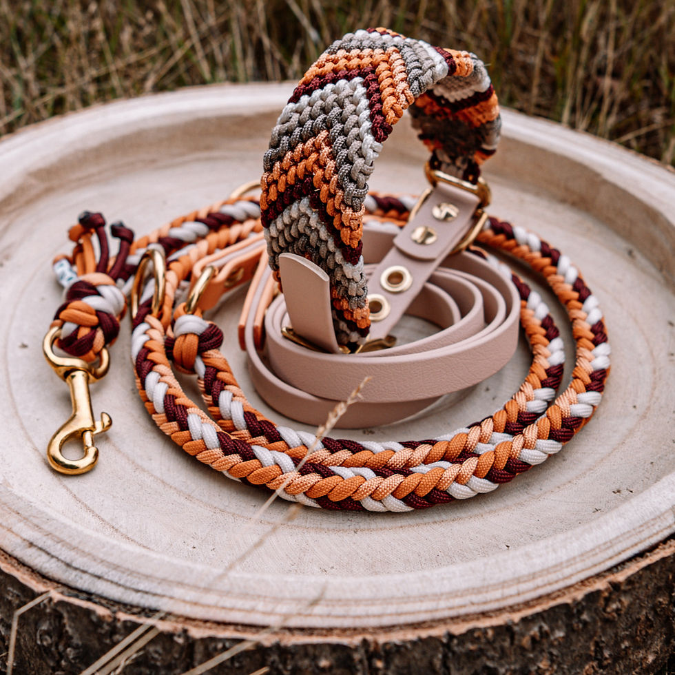 Miniaturbild: YUKIS RUBY AUTUMN HALSBAND/LEINE